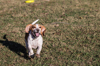 This is Ullie running like crazy